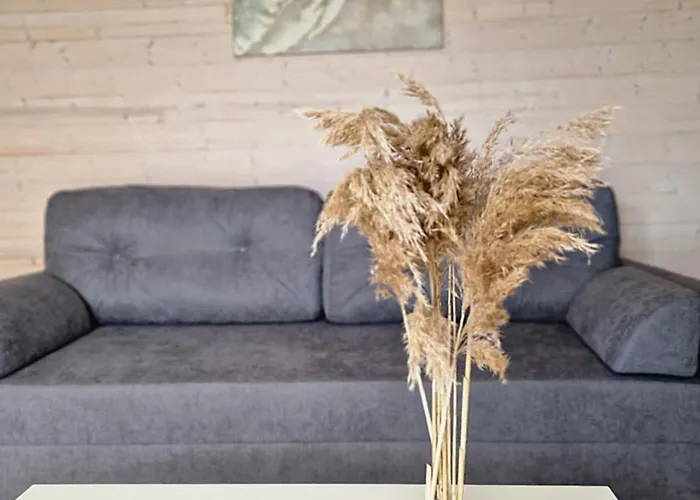 Basos Antys Sventoji